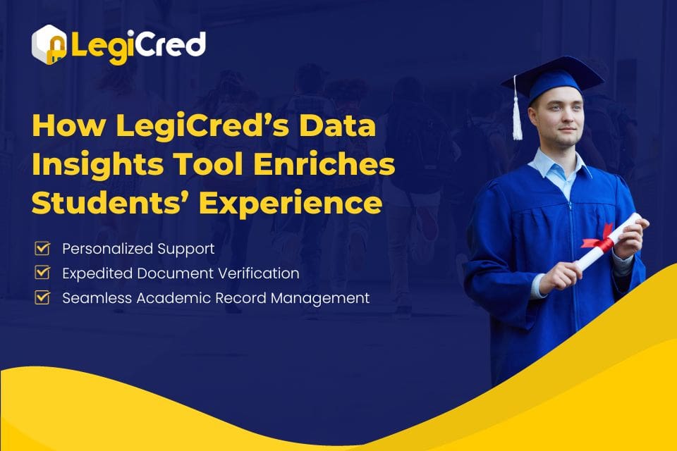 data insights tool