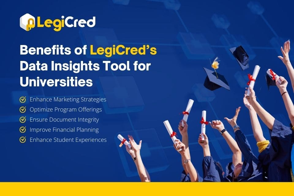 data insights tool